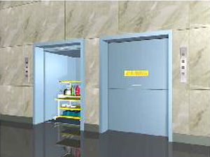 地平式双台杂物电梯